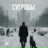 Птаха