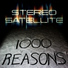Stereo Satellite