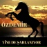 Özdemir
