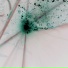 quanta2
