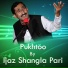 Ijaz Shangla Pari