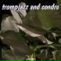Condro