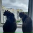 Алексей Сотников