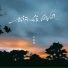 苏星婕