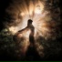 Freevolity