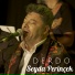 Seyda Perinçek