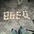 bbeq