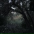 SOMNIUM