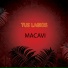 Macavi