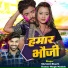 Kumar Singh Manish, Shristi Bharti