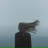 liorinkarmic