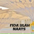FidaUllah, NaeemUllah