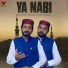 Mazhar Fareed, Azhar Fareed