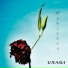 USAGI