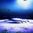 ZXF
