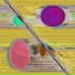 Prickle Plum