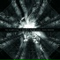 Blacklodge