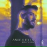 Amir Arsin