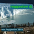 Reggaeton DJ