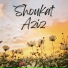 Shoukat aziz