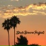 Dave Browne Project feat. Mike Rae