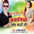 Satish Bedardi