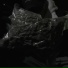 MELOTIC