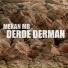 Mekan MB
