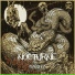 NOCTURNE