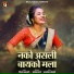 Vijay Sartape