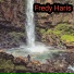 Fredy Haris