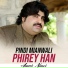 Ameer Niazi