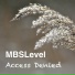 MBSLevel