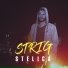 Stelica