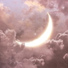 Stardust Dreams