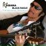 Krishna Black Eagle