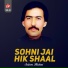 Saleem Hashmi