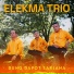 Elekma Trio