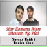 Sheraz Haidri, Danish Shah