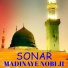 Bacha Ebrahim