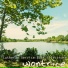 wontrice