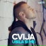 Cvija