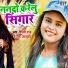 Nisha Upadhyay, Shilpi Raj