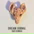 Dream Jurnal
