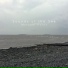 Sounds of the Sea