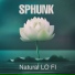 Sphunk