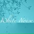 Real White Noise