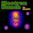 Electron Bunch