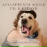Hunde Slappe