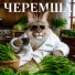 DJ EVEREST, ЧЕРЕМША, Гора Эверест На Фоне Меня